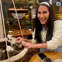 Photo de profil du pet sitter : Carolina Isabella O.