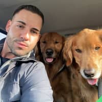 Sitter Profile Image: Dylan C.