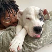 Photo de profil du pet sitter : Matthieu V.