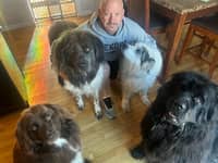 Sitter Profile Image: Ryan B.