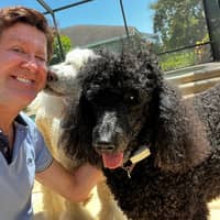 Sitter Profile Image: Fabrice L.