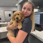 Sitter Profile Image: Stephanie F.