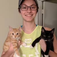 Sitter Profile Image: Courtney W.