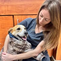 Sitter Profile Image: Jenny B.