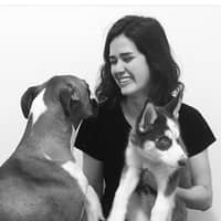 Sitter Profile Image: Whitney D.