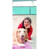 Sitter Profile Image: sneha j.