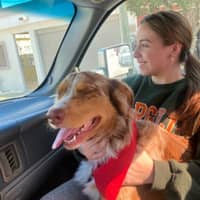 Sitter Profile Image: Reginna V.