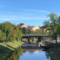 Passarens profilbild: Mercedes L.