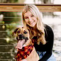 Sitter Profile Image: Brooke G.