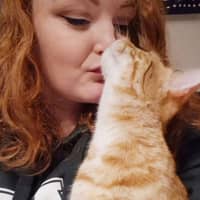 Sitter Profile Image: Kerry D.