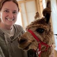 Sitter Profile Image: Amy B.