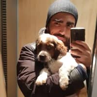 Photo de profil du pet sitter : Vincent M.
