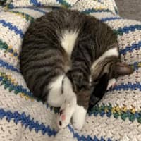 Sitter Profile Image: Nikki W.