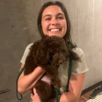 Sitter Profile Image: Daniella C.