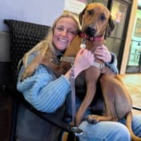 Sitter Profile Image: Molly W.