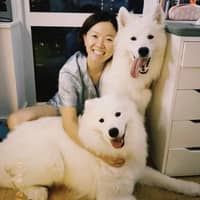 Sitter Profile Image: Jingbo S.