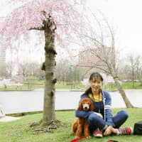 Sitter Profile Image: TONGYEZHI S.