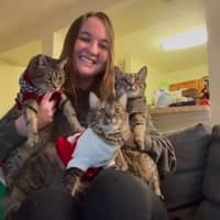 Sitter Profile Image: Ellie V.