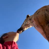 Foto del cuidador: Lucia R.