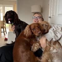 Sitter Profile Image: Rachel G.