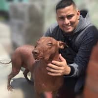 Sitter Profile Image: WILLMER M.