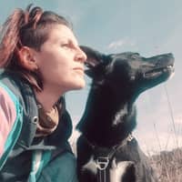 Photo de profil du pet sitter : Cindy P.