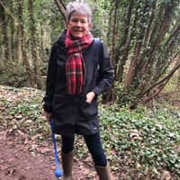 Sitter Profile Image: Susan B.