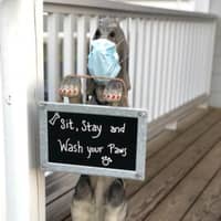 Sitter Profile Image: Kelly J.