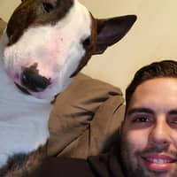 Sitter Profile Image: Jonathan L.