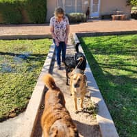 Sitter Profile Image: Diane M.