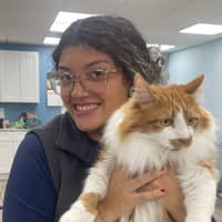 Sitter Profile Image: Bridgeth V.