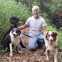 Sitter Profile Image: Larry B.