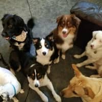 Sitter Profile Image: Connie M.