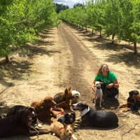 Sitter Profile Image: Mandy R.