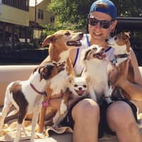 Sitter Profile Image: Mark C.