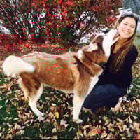 Sitter Profile Image: Sarah C.