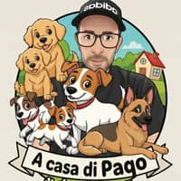 Immagine del profilo del sitter: Pasquale L.