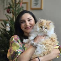 Sitter Profile Image: anahita p.