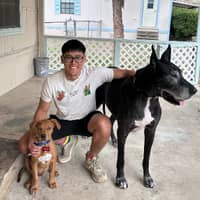 Sitter Profile Image: Cristian I.