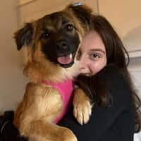 Passarens profilbild: Lova B.