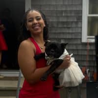 Sitter Profile Image: renan s.