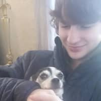 Sitter Profile Image: Jack & Rene & Bob W.