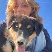 Photo de profil du pet sitter : Gwladys C.