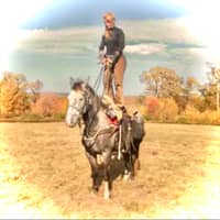 Sitter Profile Image: Melli P.