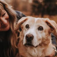 Sitter Profile Image: Lisa A.