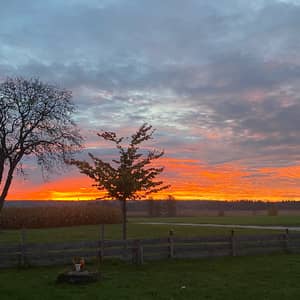 Sitter Profile Image: Christina W.