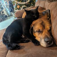 Sitter Profile Image: Wendy R.