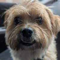 Sitter Profile Image: Ben W.