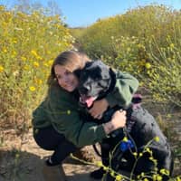 Sitter Profile Image: Katie C.