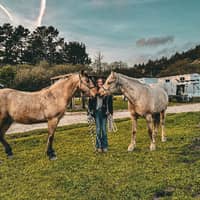 Sitter Profile Image: Julia R.